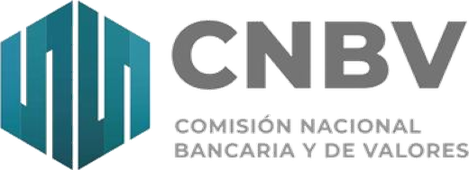CNBV — Comisión Nacional Bancaria y de Valores